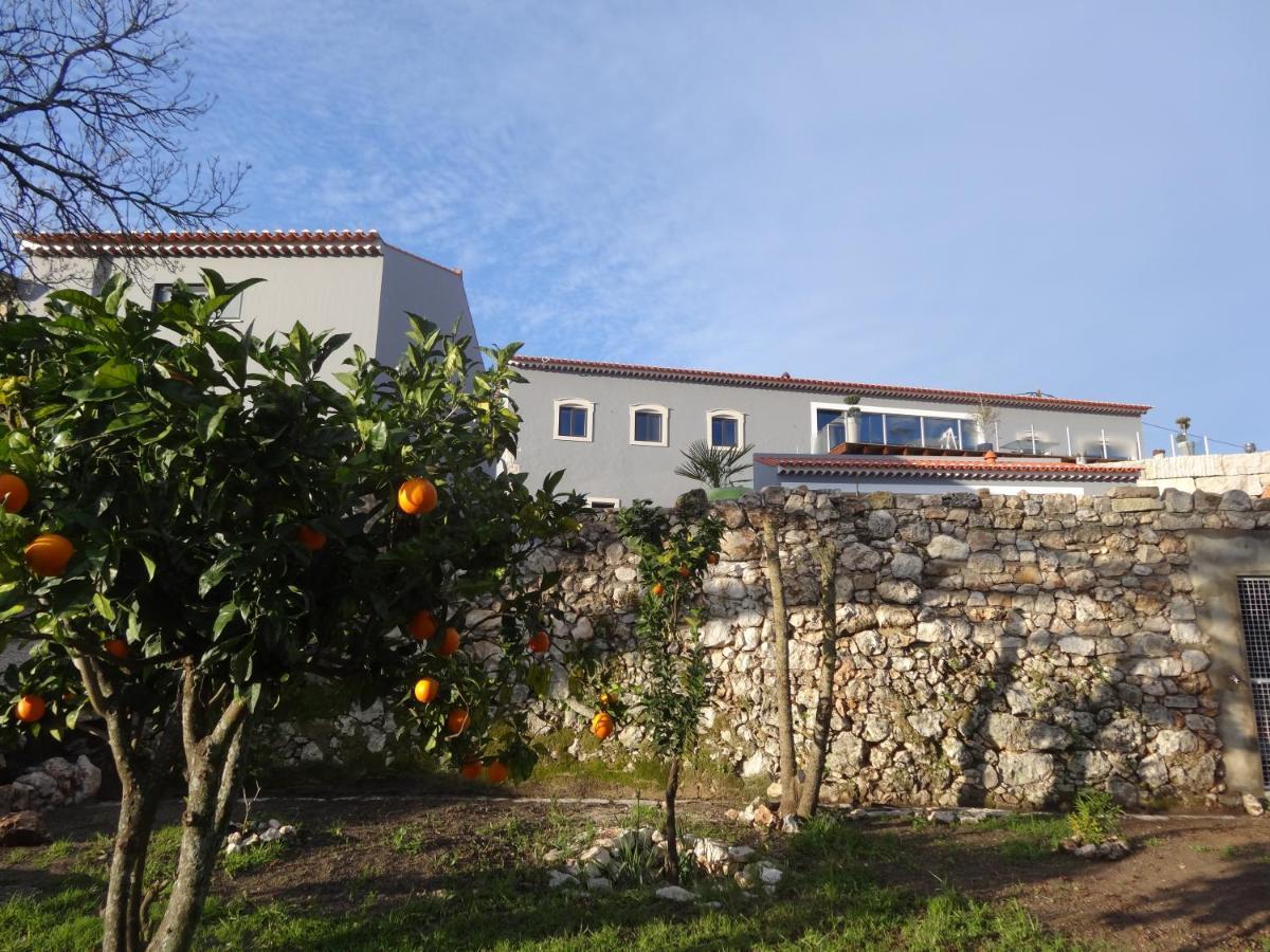 Bed and Breakfast Casa Da Riguerinha Monsanto Exterior foto