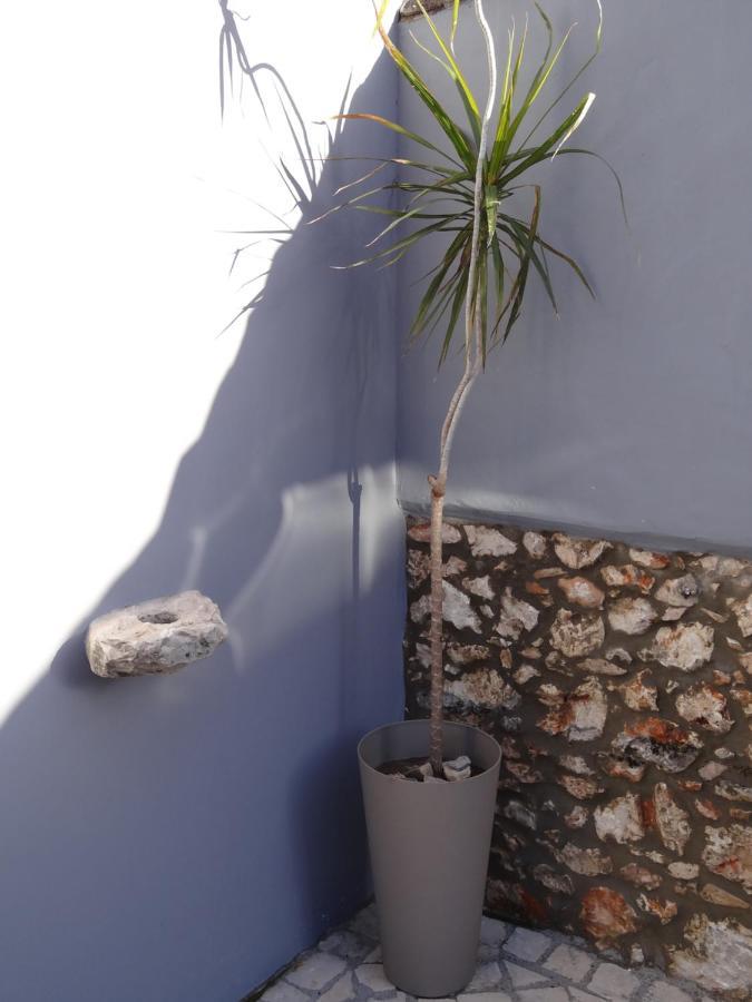 Bed and Breakfast Casa Da Riguerinha Monsanto Exterior foto
